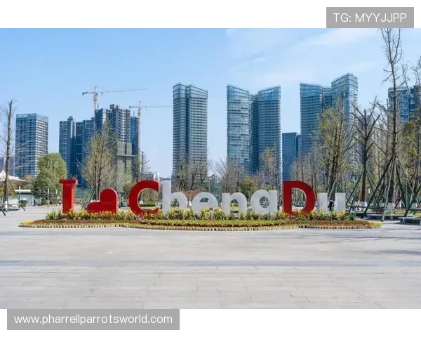 od体育官方网站安全支付方式详解，保障用户资金安全与交易顺畅