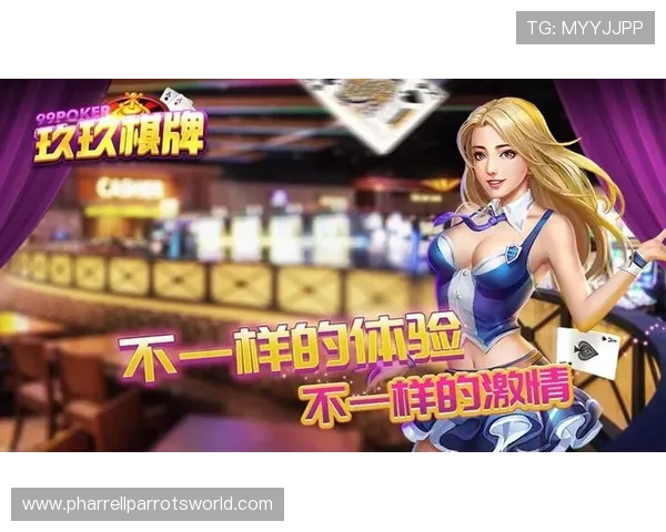 天天乐娱乐平台为玩家提供丰富多样的游戏选择，打造属于你的专属娱乐空间