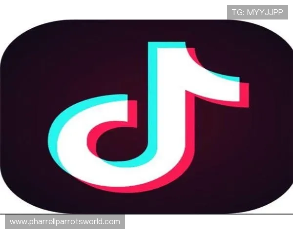 ob视讯官网全面介绍让你轻松了解最新的娱乐直播平台功能与服务特色 ob视讯官网全面介绍让你轻松了解最新的娱乐直播平台功能与服务特色