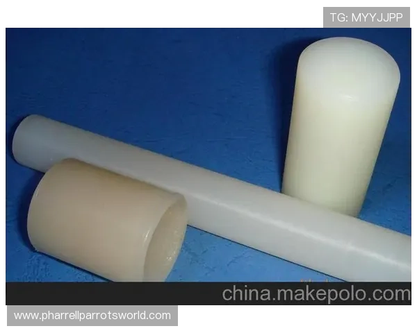 优选PA视讯网址大全,海量娱乐内容一站式体验 优选PA视讯网址大全,海量娱乐内容一站式体验