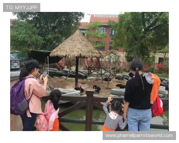 天博真人:实时互动体验增强玩家之间的互动乐趣营造真实的娱乐氛围 天博真人:实时互动体验增强玩家之间的互动乐趣营造真实的娱乐氛围