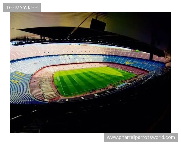 足球外围投注平台的支付方式多样化及其安全性保障措施介绍