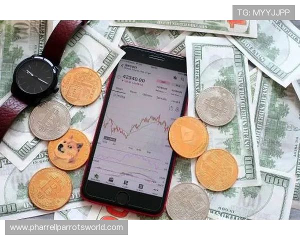 通博tb：如何选择适合自己的娱乐产品与服务