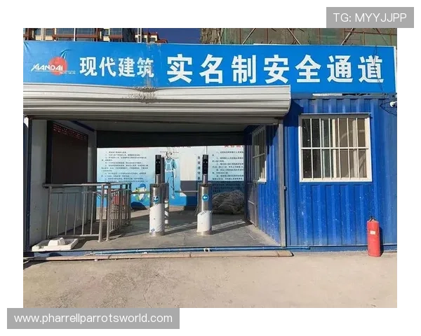 飞驰地址技术在智慧城市交通管理中的创新应用