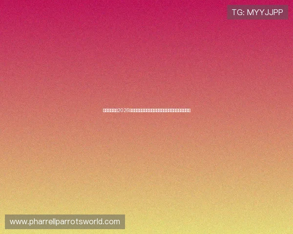 万博体育解读2026世界杯赛程安排，帮助球迷合理安排观赛时间与关注重点
