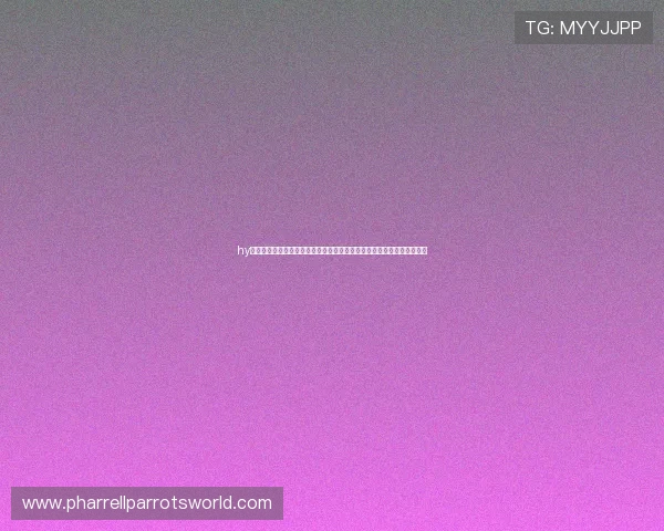hy娱乐棋牌为世界杯期间的体育竞猜和棋牌娱乐提供全方位技术支持与服务 hy娱乐棋牌为世界杯期间的体育竞猜和棋牌娱乐提供全方位技术支持与服务